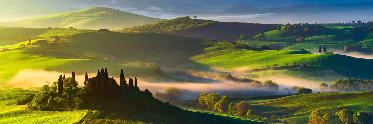 koray şaşmaz banner