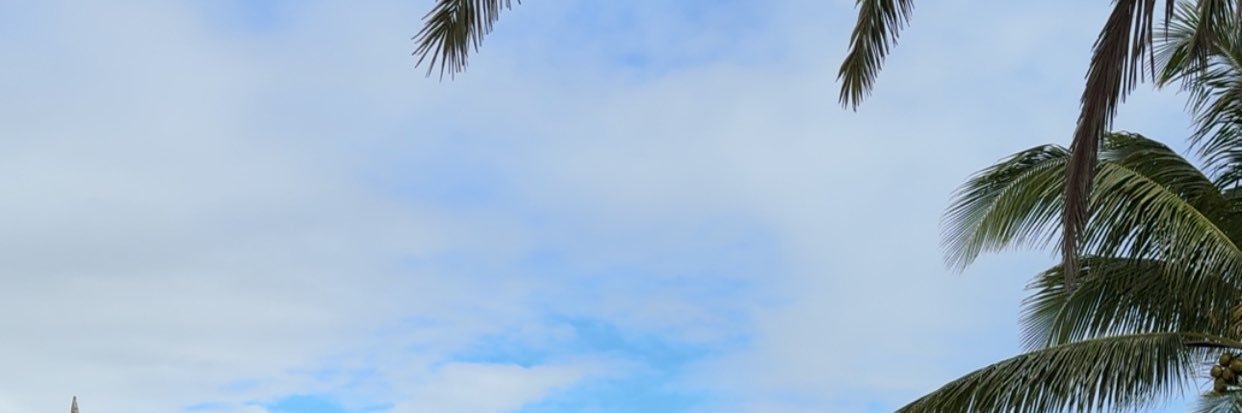 سعاد الفريان banner