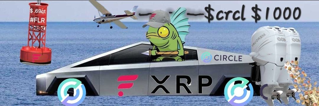 FishyBusiness.FLR 🎣 $CRCL banner