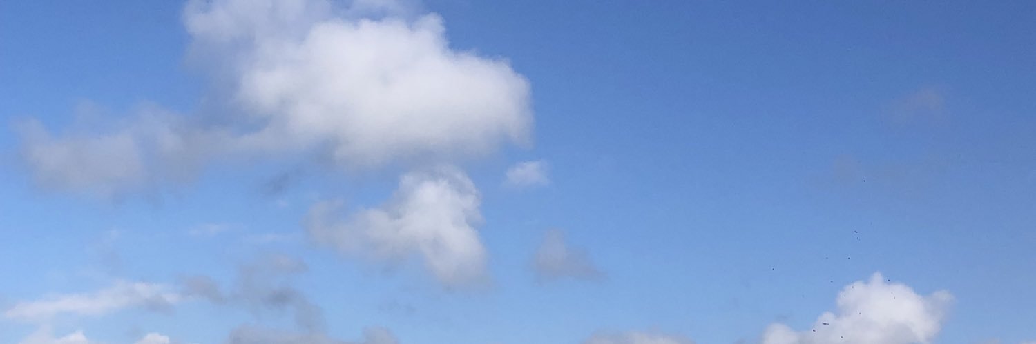 . banner