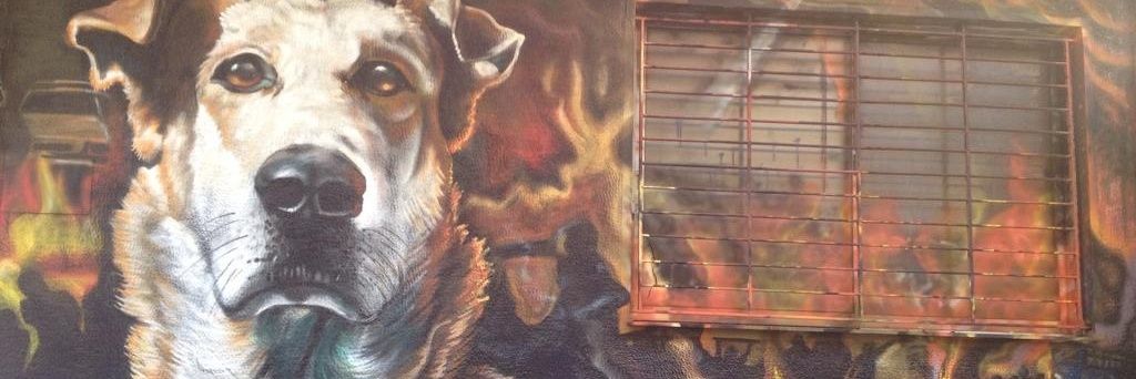shithigh7's profile banner image