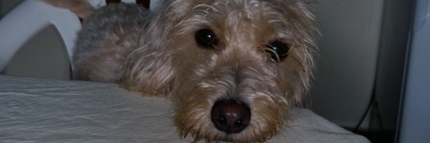 patrizia000's profile banner image