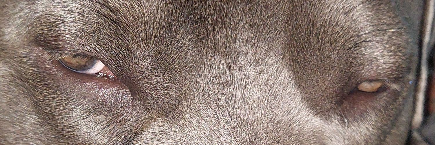 CurtisJTerry's profile banner image