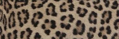 jade 👸🏼 banner