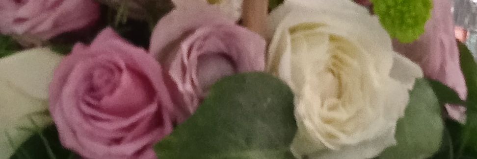 dahbidalil1's profile banner image