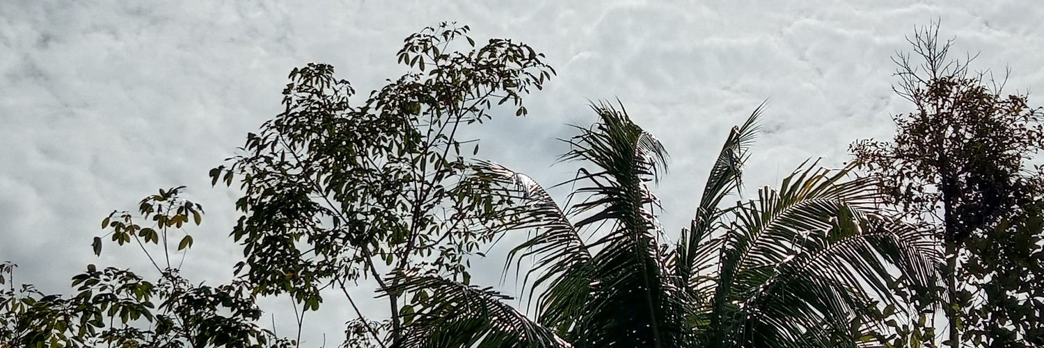 Kenzie banner