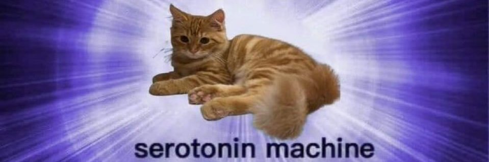 cats with threatening auras's banner