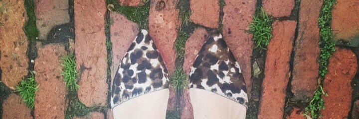 Sarah Elfreth banner