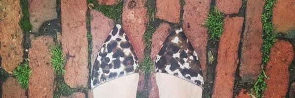 SarahElfreth Profile Banner