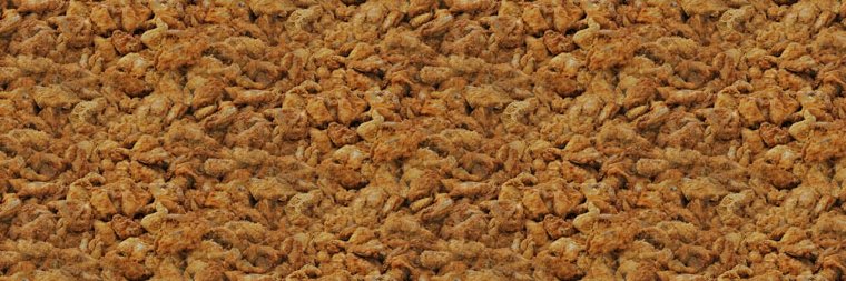 Christopher Fye / クリストファー・ファイ banner