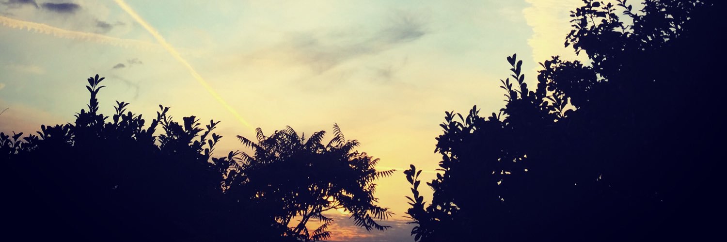 ReviewsAviation's profile banner image