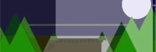 pleitz banner