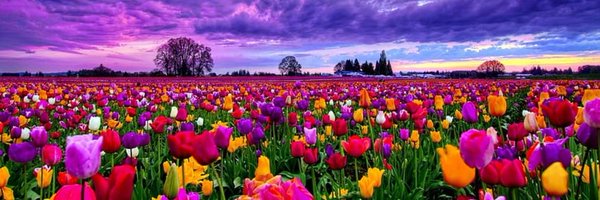 LydiaSandate Profile Banner