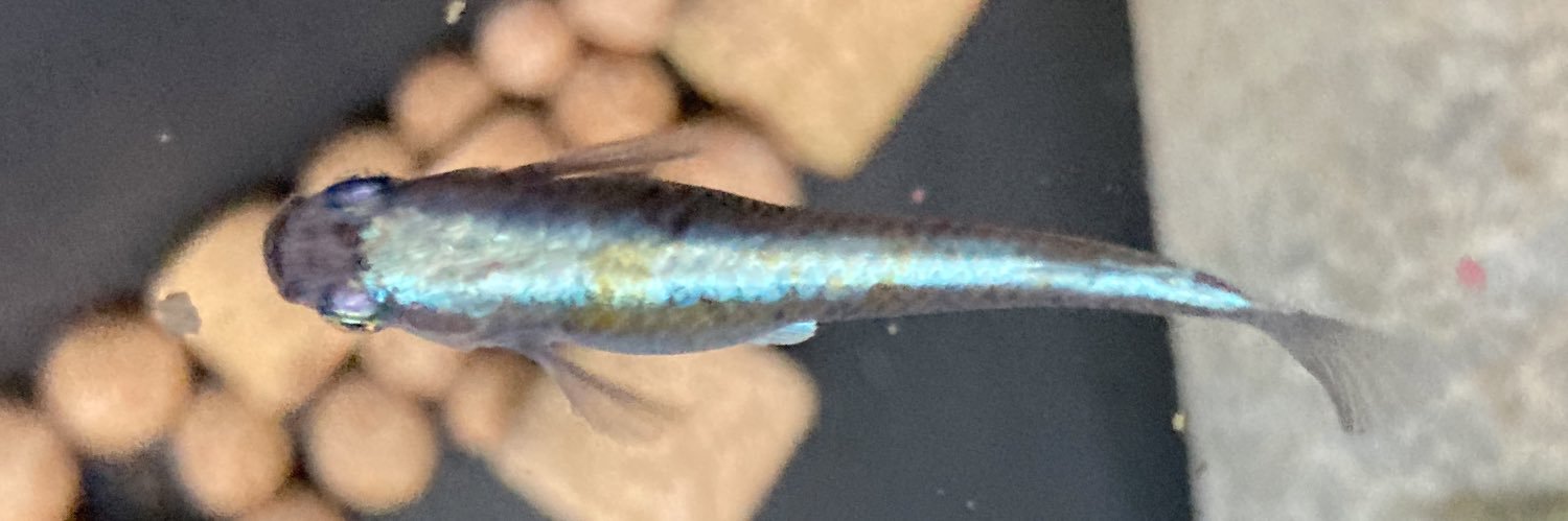 篠原 一朗／水鈴社 banner