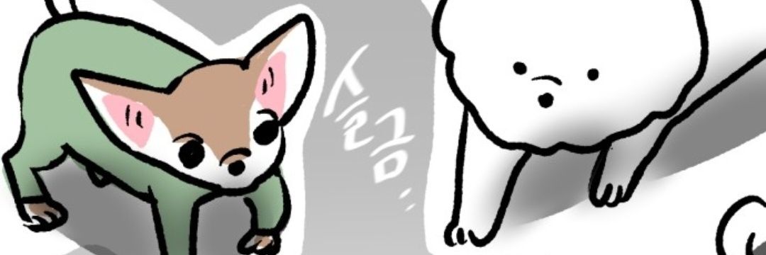 BBIBBO813's profile banner image