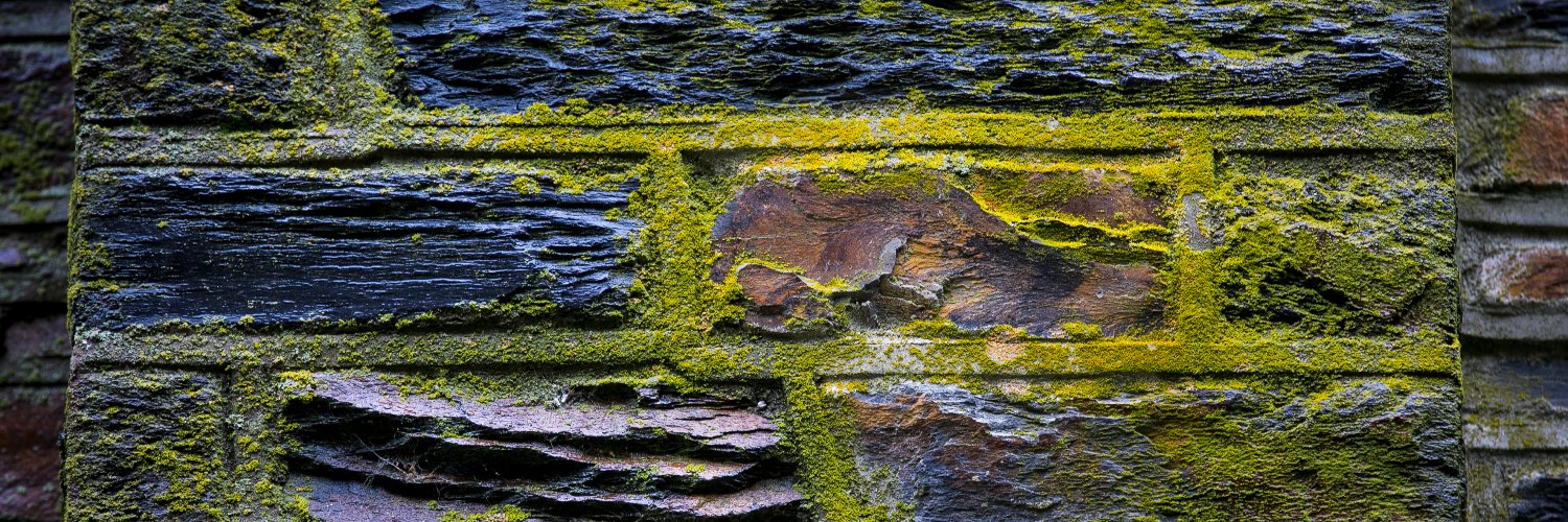 Duke Aging Center banner