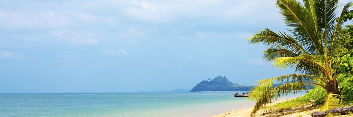 flo_sami's profile banner image