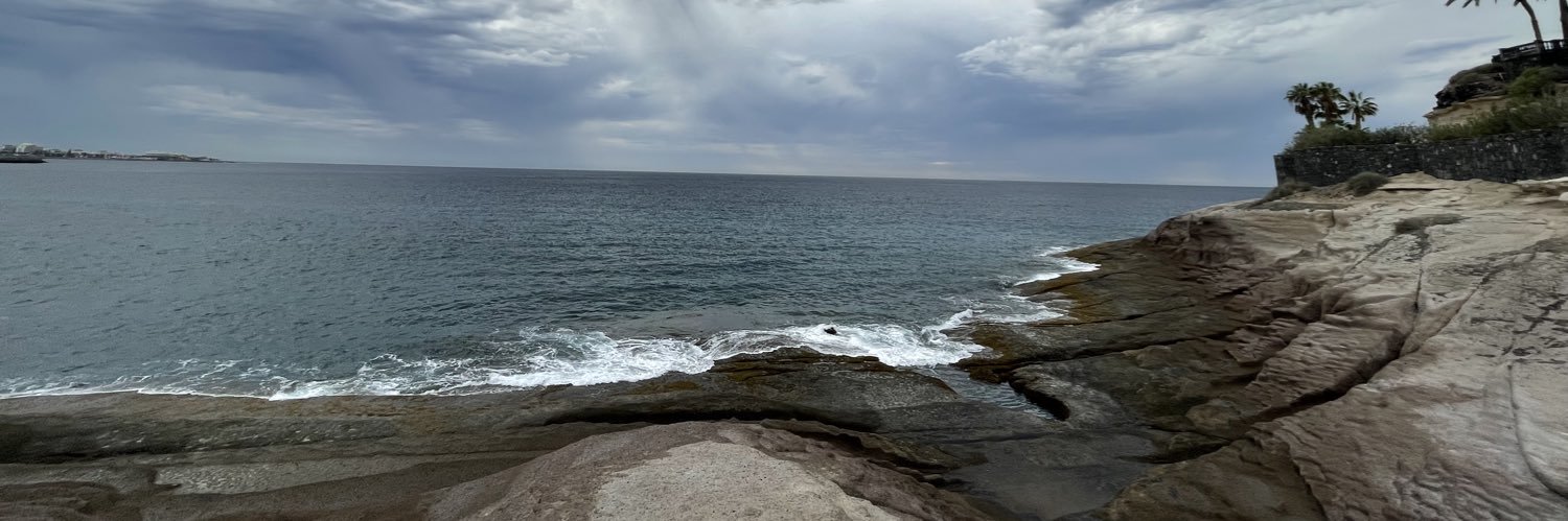 Sepideh Mamooler banner