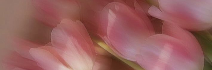 staywithfrot . ♡̶ banner