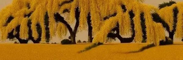 Fatim11h's profile banner image