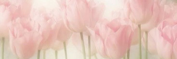 tulip banner