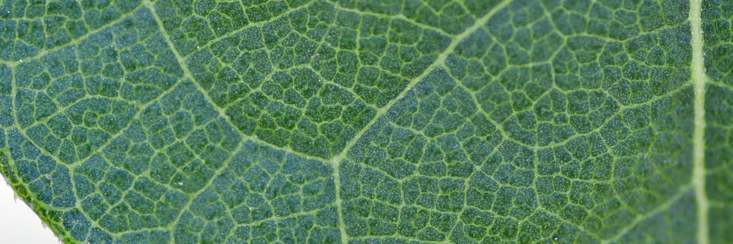 Today In Nature banner