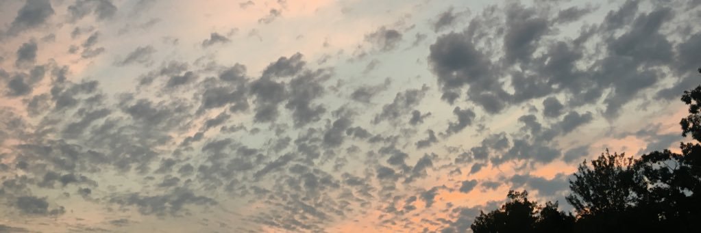 jillgerweck's profile banner image