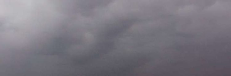 طـراد الضميّان banner