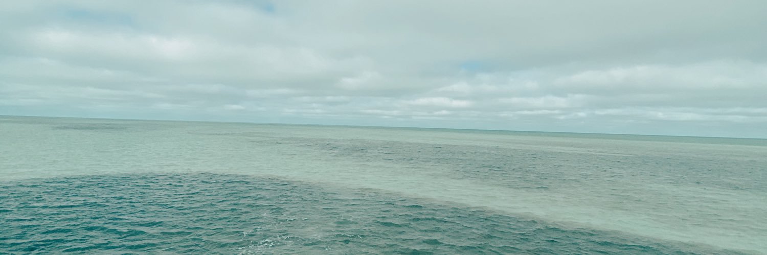 zkallgren's profile banner image