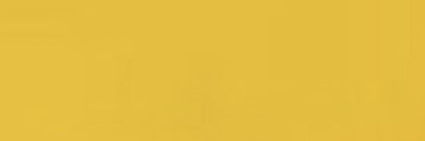 4snp1 Profile Banner