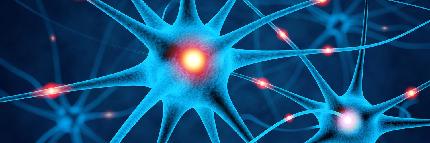 Centre for Neurology Studies banner