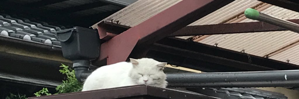 shutteffann's profile banner image