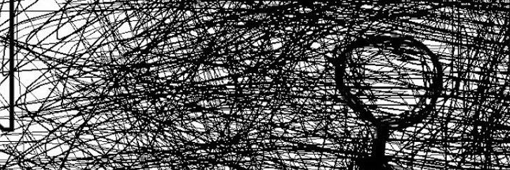 Alex banner