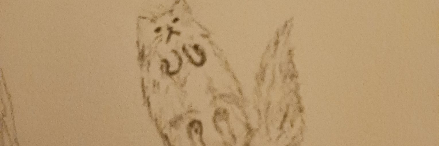 🦇 goth moth 🦇 banner