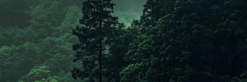 blaqsz's profile banner image