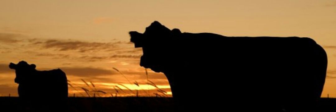 Chris076743's profile banner image