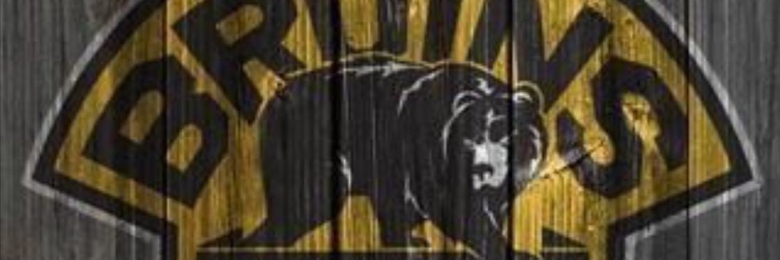 ozzi2006's profile banner image