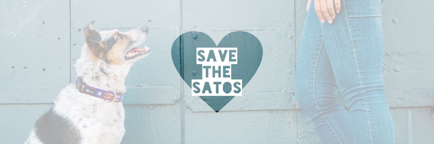 2 Hounds Design banner