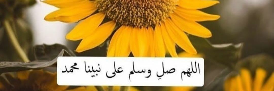 رواء 🌿 banner