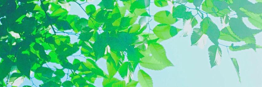 mo4x2525's profile banner image