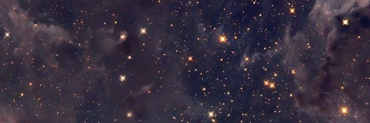stechacr's profile banner image