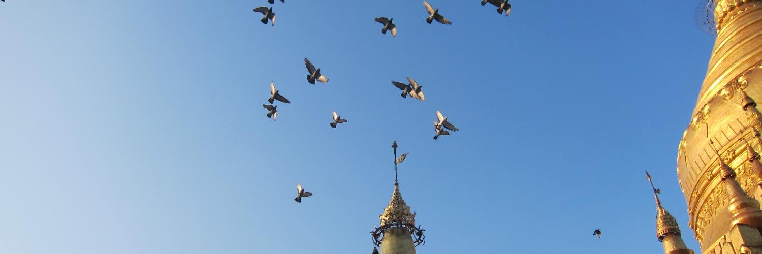 Tanya Ward Goodman banner