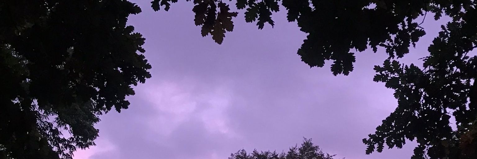 __magina__'s profile banner image