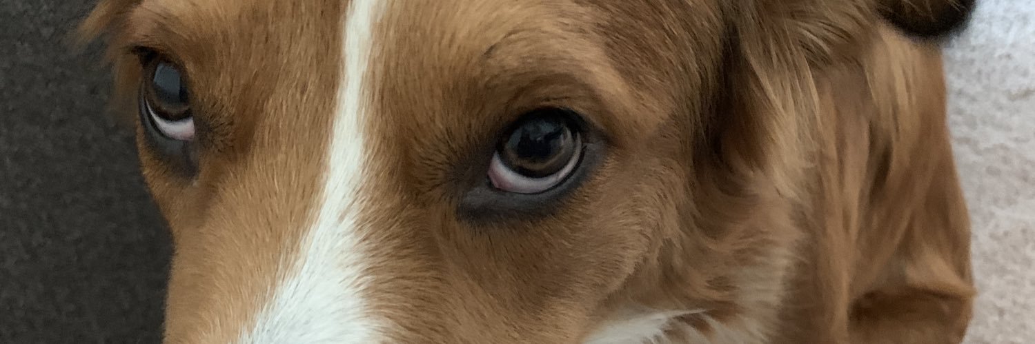 cleglenn's profile banner image