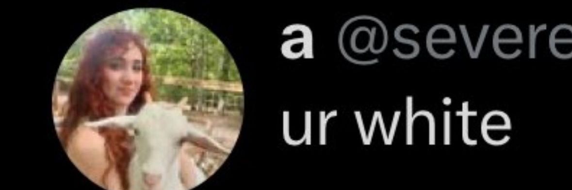 read pinned before arguing! banner