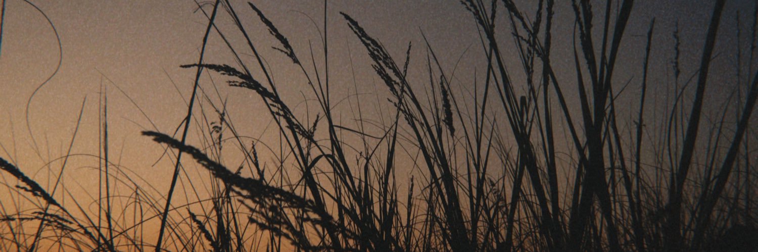 cucumberleee's profile banner image