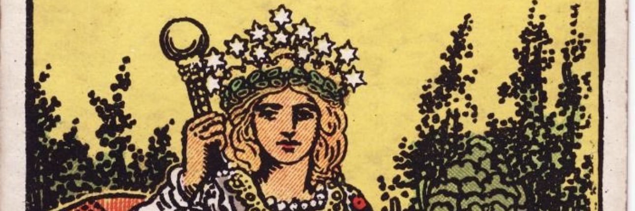 María José Negrete-Jaramillo banner