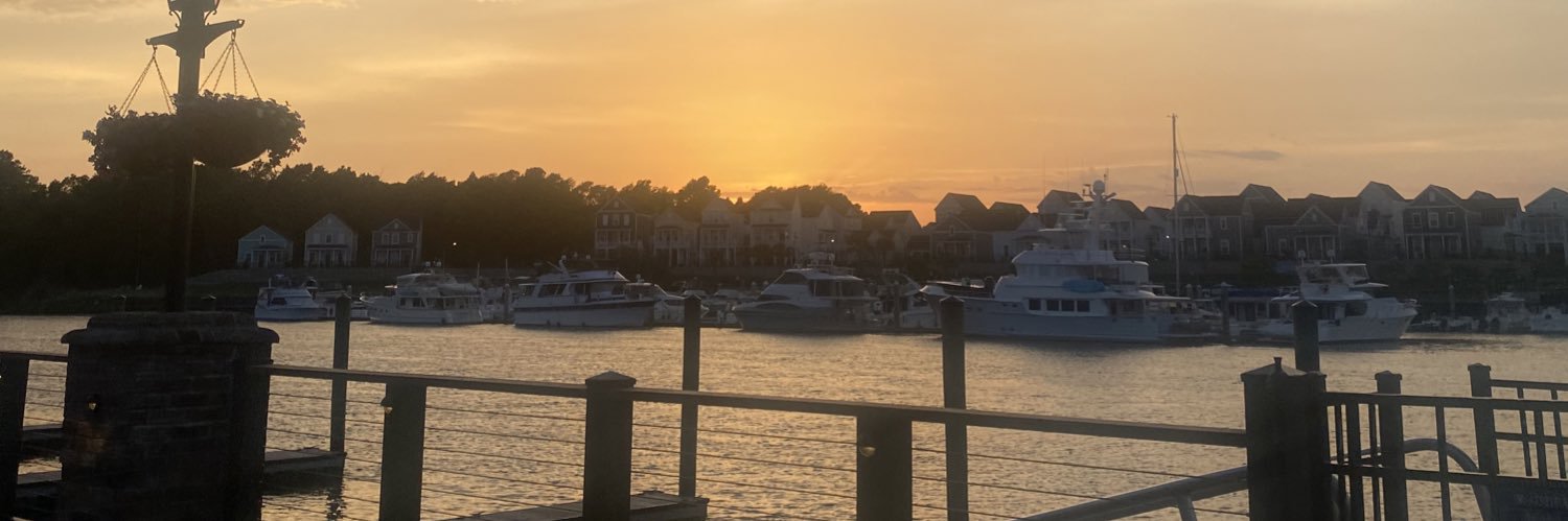 Lizzy Leitgabel banner