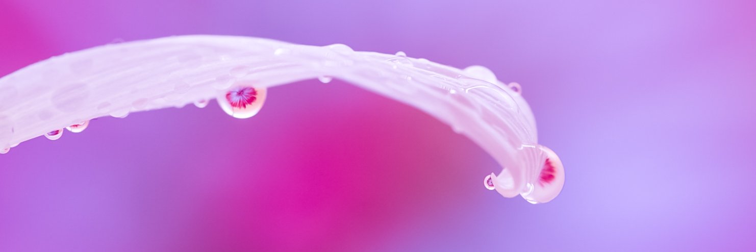 Lifeinsize's profile banner image