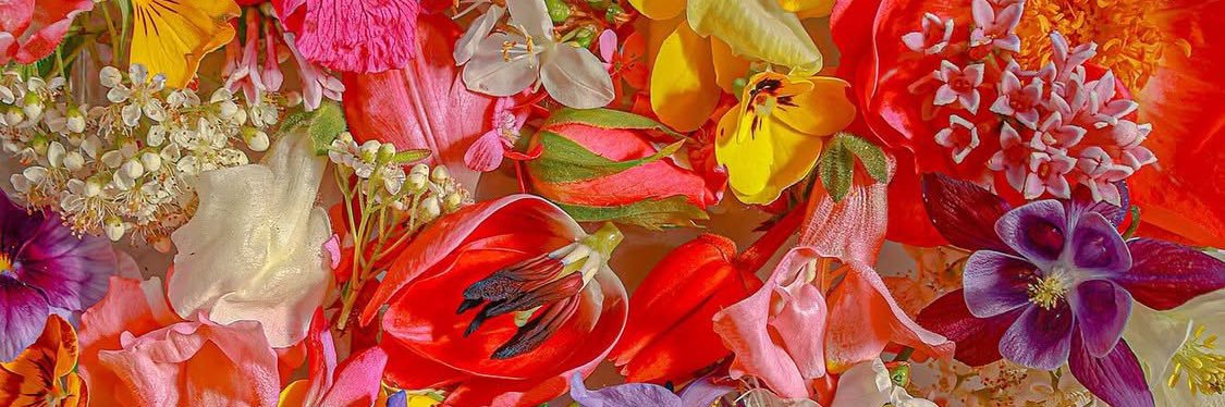 NEEL, BOTTOM, 88KGS banner